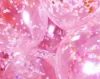 Colorful sequined balloon wedding room Valentine's Day decoration 12-inch large wedding decoration birthday party balloon Specification image